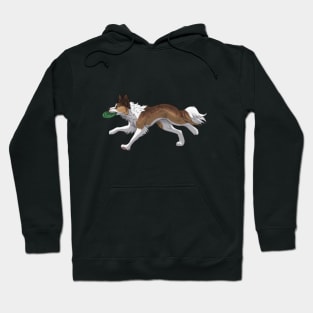 Running Sable Border Collie with Frisbee Hoodie